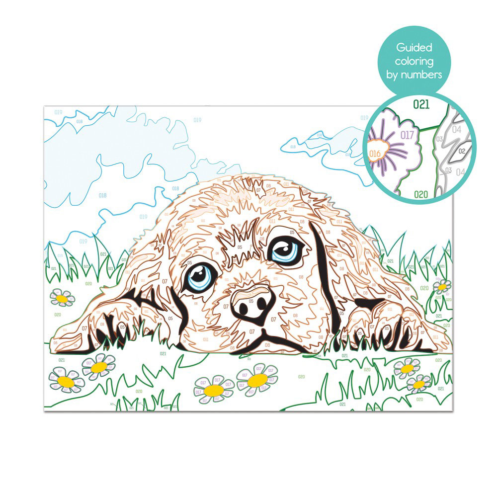 AS Company Paint & Frame Ζωγραφίζω με Αριθμούς Loving Puppy 1038-41012