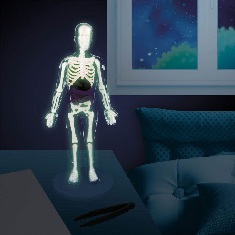 Buki Human Body 12 Πειράματα - Ανθρώπινο σώμα 2163