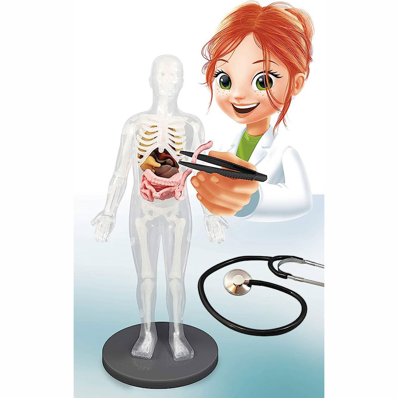 Buki Human Body 12 Πειράματα - Ανθρώπινο σώμα 2163