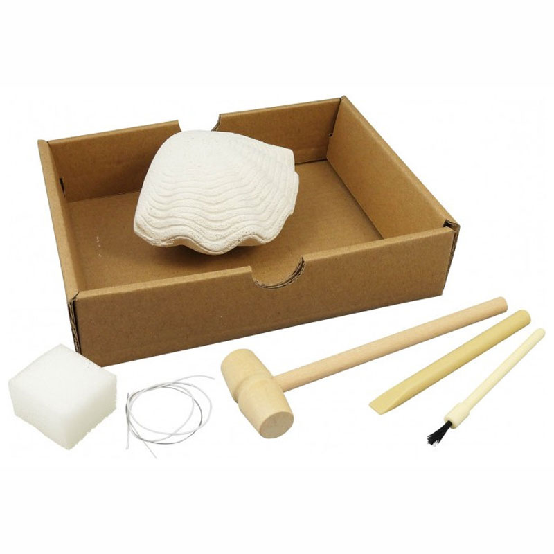 Buki Εκπαιδευτικό Dig Kit Ανασκαφή Κοχύλια 441