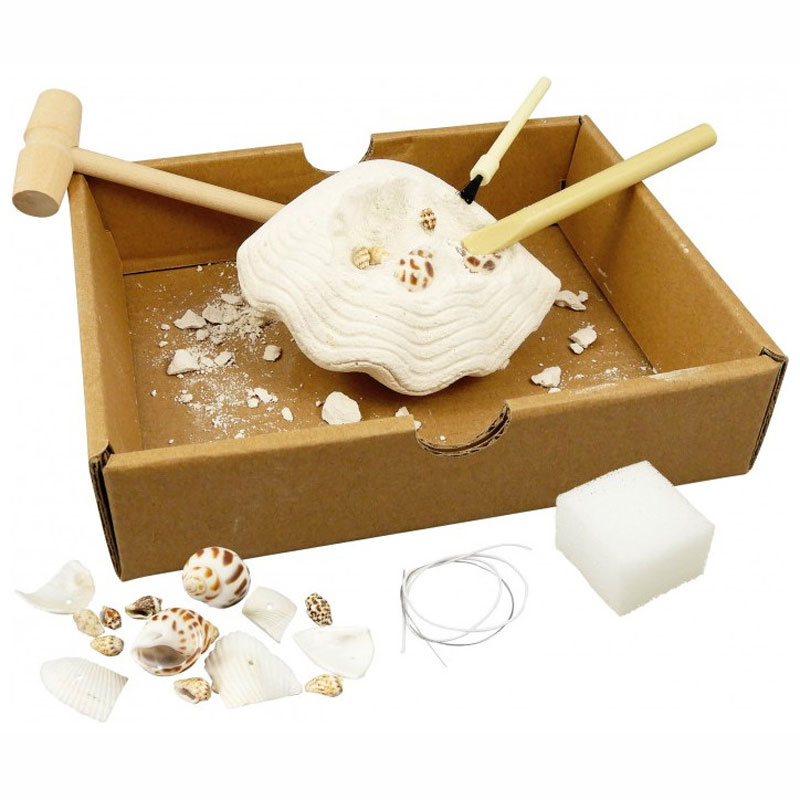 Buki Εκπαιδευτικό Dig Kit Ανασκαφή Κοχύλια 441