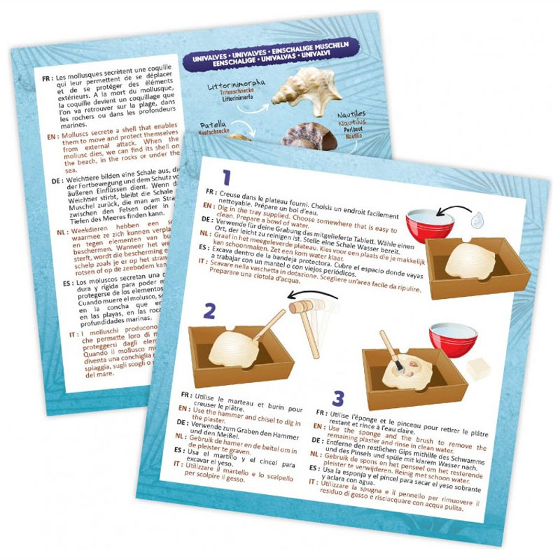 Buki Εκπαιδευτικό Dig Kit Ανασκαφή Κοχύλια 441