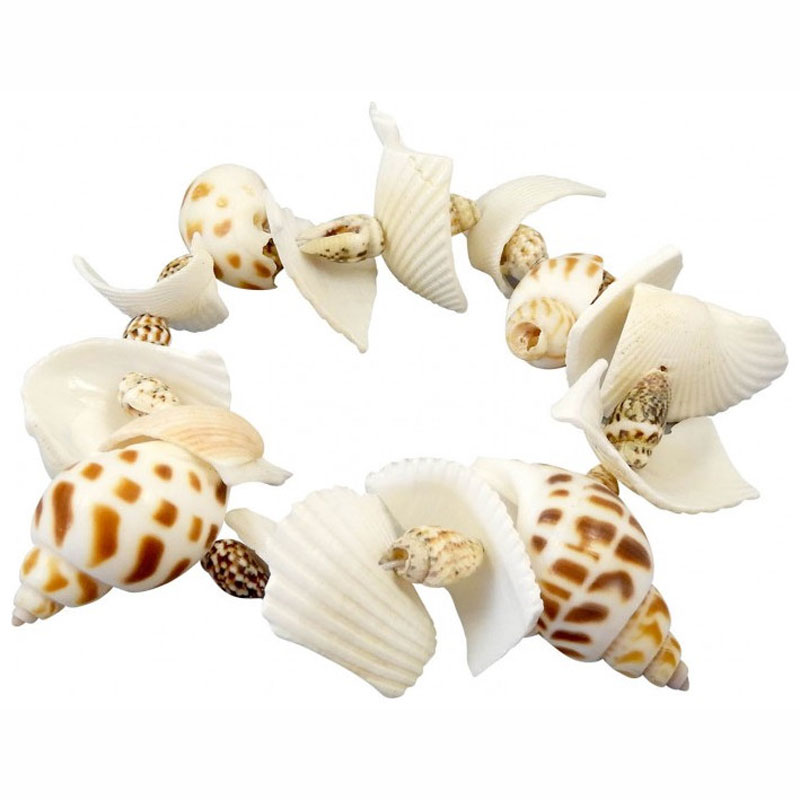 Buki Εκπαιδευτικό Dig Kit Ανασκαφή Κοχύλια 441