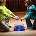 Hasbro Beyblade X Drop Attack Battle Set G0842