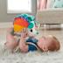 Fisher-Price® Cuddle n' Snuggle Hedgehog Μαλακό Σκαντζοχοιράκι Ουράνιο Τόξο HBP42