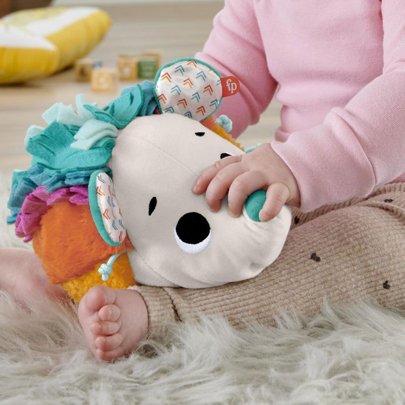Fisher-Price® Cuddle n' Snuggle Hedgehog Μαλακό Σκαντζοχοιράκι Ουράνιο Τόξο HBP42