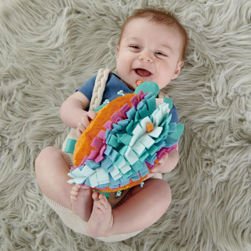 Fisher-Price® Cuddle n' Snuggle Hedgehog Μαλακό Σκαντζοχοιράκι Ουράνιο Τόξο HBP42