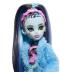 Mattel Monster High Doll Creepover Party™ Frankie Stein HKY68
