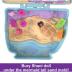 Mattel Polly Pocket Μίνι Ο Κόσμος της Polly Σετ Seaside Puppy Ride Compact