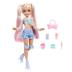 Mattel Barbie Dream Besties Barbie Malibu Skater Doll JFX96