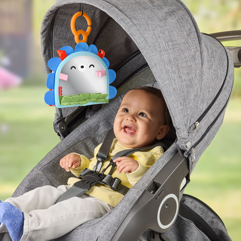 Fisher-Price® Βρεφικό Παιχνίδι Καθρεφτάκι Σκαντζοχοιράκι JHB45