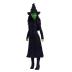 Mattel Συλλεκτική Κούκλα Wicked Έλφαμπα που Τραγουδάει JLG48