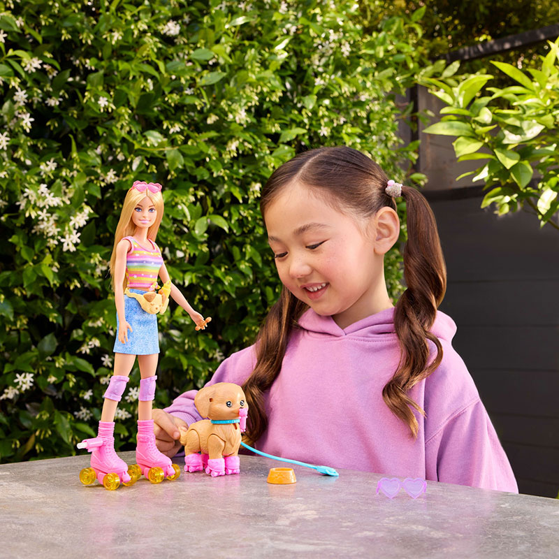 Mattel Barbie® Pets Skate & Run Pup με Κούκλα JMJ44