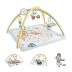 Fisher Price Βρεφικό Γυμναστήριο Simply Senses Newborn Gym JMN74