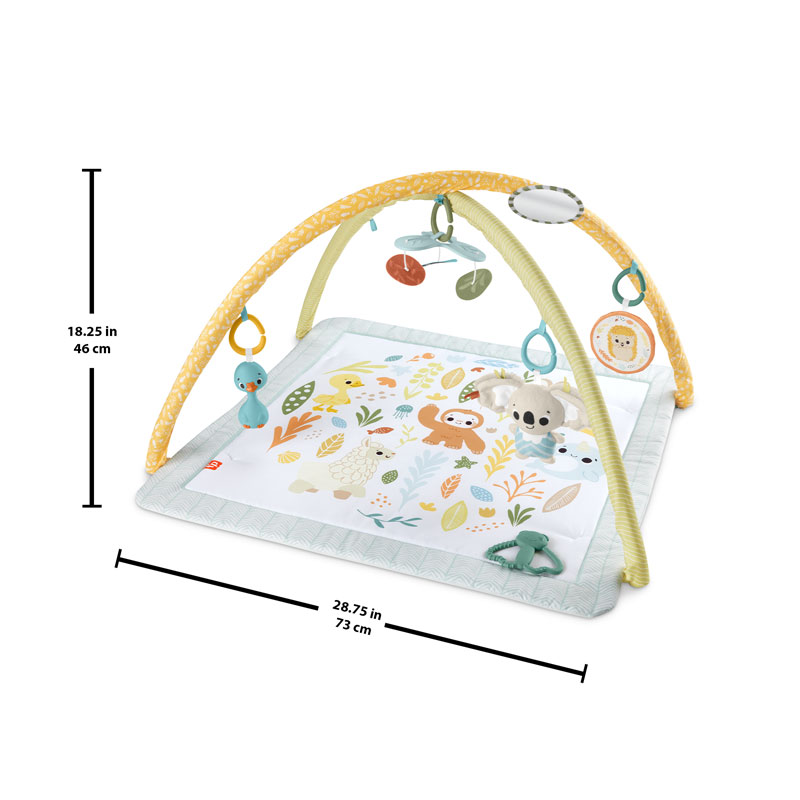 Fisher Price Βρεφικό Γυμναστήριο Simply Senses Newborn Gym JMN74