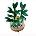Lego Botanical Collection Lucky Bamboo 10344