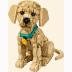 Lego Icons Golden Retriever Puppy 11384
