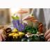 Lego® Botanicals Woodland Mushrooms 11505