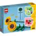 Lego Iconic Sunflowers 40524