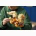 Lego® Pokemon Arcanine 72160