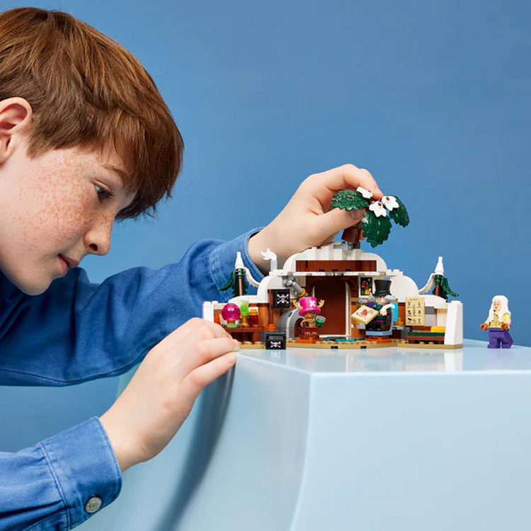 Lego® One Piece Dr. Hiriluk's Hideout 75641