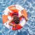 Swim Essentials Σωσίβιο ⌀69εκ. για μωρά από 0-1 ετών Whale SWE-2020SE153