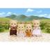 Sylvanian Families Bear Family Οικογένεια Αρκουδάκια 5059